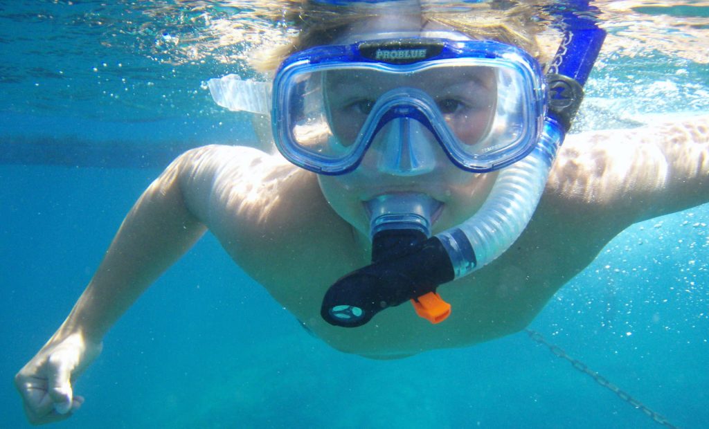 wh snorkelling 2